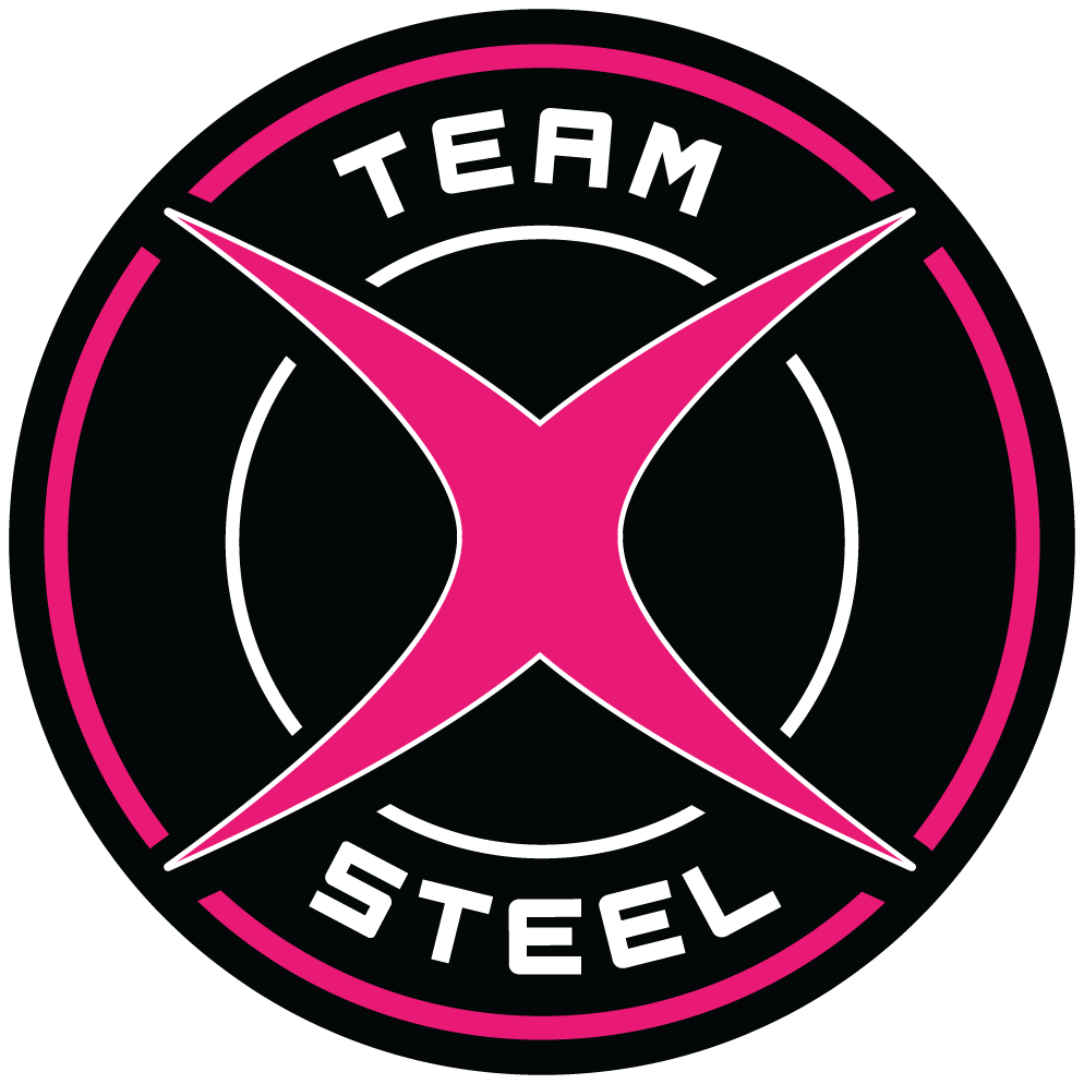 Team Steel Primary Badge 2024_final